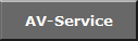 AV-Service